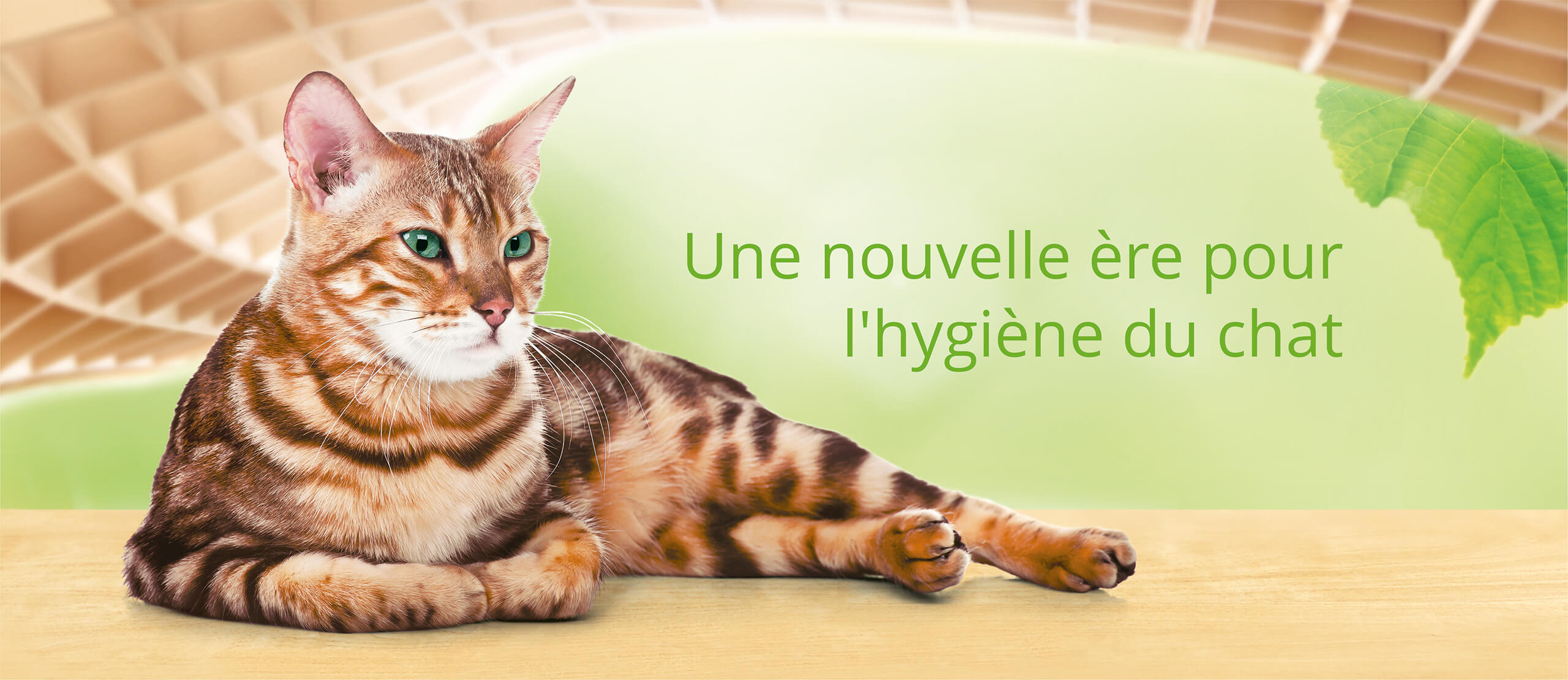 Cat's Best: Une nouvelle ère pour l'hygiène du chat.