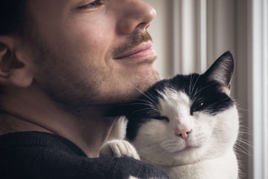 Mon chat bave quelle en est la cause ? Cat’s Best